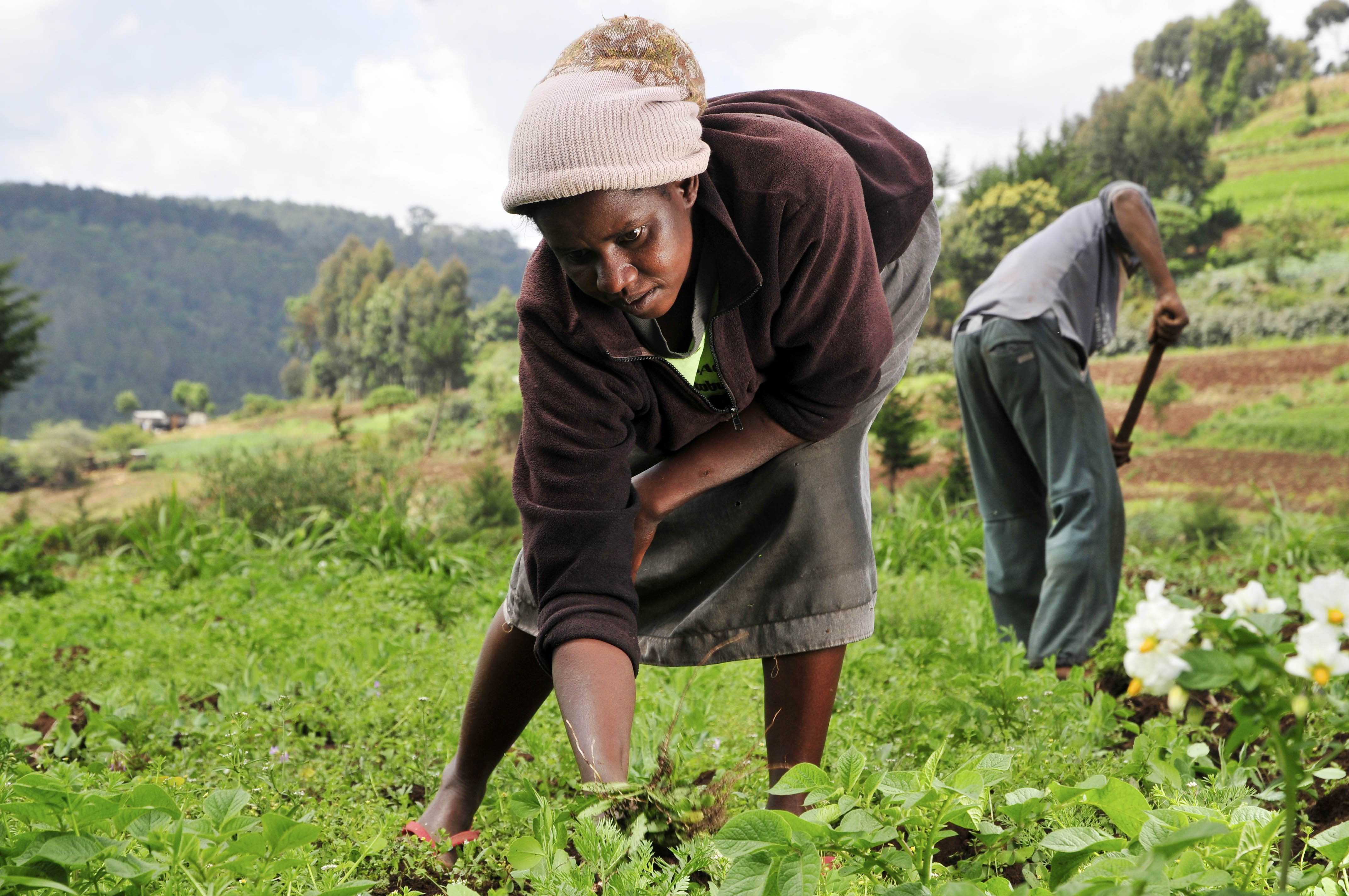 Woman_farmer_in_Kenya